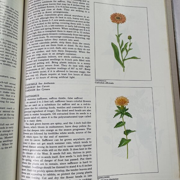 Growing Herbs Time Life Encyclopedia of Gardening u 1977 How to Grow - Picture 9 of 11